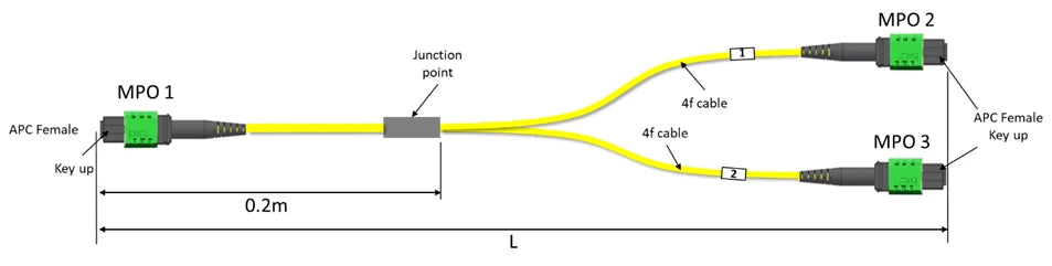 NVIDIA MFP7E40-N030 | SMF OS2 MPO-12 APC to dual MPO-12 APC passive trunk, 30m