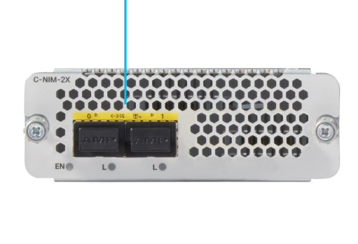 Silver metallic c-nim-wan-2x network interface module with perforated panel and two black ethernet ports for catalyst 8000