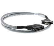 Cisco CAB-5-M120M120-5 RJ-21X 50-pin Cat5 25-pair cable for Catalyst 5000