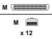 Cisco CAB-5-M120HYD-5 | Category 5 telco interconnect cable, 1.5 m