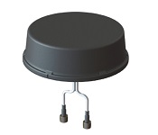 Cisco Routers - Industrial ANT-2-4G2-O